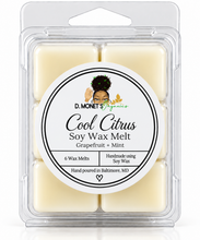 Load image into Gallery viewer, Cool Citrus Soy Wax Melt
