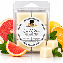 Load image into Gallery viewer, Cool Citrus Soy Wax Melt
